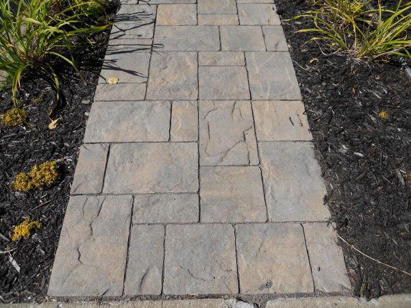 Stamped Concrete Staining in Berkeley