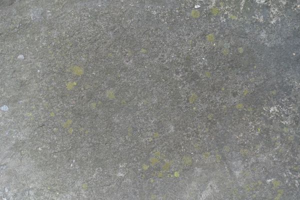 Cost of Slab Staining Service in Berkeley